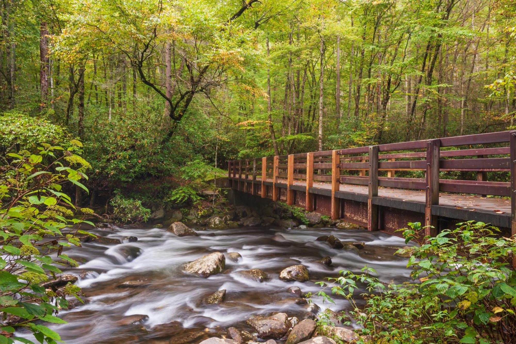 Smoky Mountain Serenity, Amazing Mountain Views 1089 Free Tickets Each Paid Day, Dollywood And More Sevierville Exterior foto